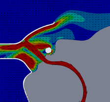 Figure 5. Simulated Flow Velocity – HVNI delivery at 40 L∙min-1, with 30 L∙min-1 suction airflow.